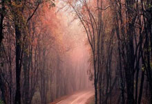 天涯论坛营销推广方案